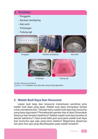 93Prakarya
2. Peralatan
- Penggaris
- Serokan lamit/jaring
- Alat sortir
- Timbangan
- Tudung saji
b c
e
a
d
Penggaris Serokan lamit/jaring
Timbangan
Alat sortir
Tudung saji
Sumber: Dokumen Kemdikbud
Gambar 3.19. Peralatan budi daya ikan yang sering digunakan
3. Wadah Budi Daya Ikan Konsumsi
Lokasi budi daya ikan konsumsi menentukan pemilihan jenis
wadah budi daya yang tepat, Wadah budi daya merupakan tempat
untuk memelihara ikan. Tahukah kamu wadah budi daya ikan konsumsi
yang biasa digunakan? Perhatikanlah gambar ikan di atas! Dimanakah
biasanya ikan tersebut dipelihara? Adakah wadah budi daya tersebut di
daerah sekitarmu? Coba amati lebih jauh jenis-jenis wadah budi daya
ikan konsumsi apa saja yang kamu ketahui? Bagaimana desainnya
dan jenis ikan apa yang dibudidayakan pada wadah tersebut?
 