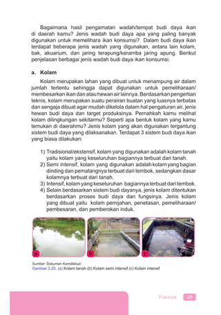 95Prakarya
Bagaimana hasil pengamatan wadah/tempat budi daya ikan
di daerah kamu? Jenis wadah budi daya apa yang paling banyak
digunakan untuk memelihara ikan konsumsi? Dalam budi daya ikan
terdapat beberapa jenis wadah yang digunakan, antara lain kolam,
bak, akuarium, dan jaring terapung/keramba jaring apung. Berikut
penjelasan berbagai jenis wadah budi daya ikan konsumsi.
a. Kolam
Kolam merupakan lahan yang dibuat untuk menampung air dalam
jumlah tertentu sehingga dapat digunakan untuk pemeliharaan/
membesarkan ikan dan atau hewan air lainnya. Berdasarkan pengertian
teknis, kolam merupakan suatu perairan buatan yang luasnya terbatas
dan sengaja dibuat agar mudah dikelola dalam hal pengaturan air, jenis
hewan budi daya dan target produksinya. Pernahkah kamu melihat
kolam dilingkungan sekitarmu? Seperti apa bentuk kolam yang kamu
temukan di daerahmu? Jenis kolam yang akan digunakan tergantung
sistem budi daya yang dilaksanakan. Terdapat 3 sistem budi daya ikan
yang biasa dilakukan:
1) Tradisional/ekstensif, kolam yang digunakan adalah kolam tanah
yaitu kolam yang keseluruhan bagiannya terbuat dari tanah.
2) Semi intensif, kolam yang digunakan adalah kolam yang bagian
dinding dan pematangnya terbuat dari tembok, sedangkan dasar
kolamnya terbuat dari tanah.
3) Intensif, kolam yang keseluruhan bagiannya terbuat dari tembok.
4) Selain berdasarkan sistem budi dayanya, jenis kolam ditentukan
berdasarkan proses budi daya dan fungsinya. Jenis kolam
yang dibuat yaitu kolam pemijahan, penetasan, pemeliharaan/
pembesaran, dan pemberokan induk.
b ca
Sumber: Dokumen Kemdikbud
Gambar 3.20. (a) Kolam tanah (b) Kolam semi intensif (c) Kolam intensif
 