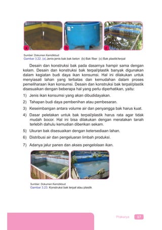 97Prakarya
Desain dan konstruksi bak pada dasarnya hampir sama dengan
kolam. Desain dan konstruksi bak terpal/plastik banyak digunakan
dalam kegiatan budi daya ikan konsumsi. Hal ini dilakukan untuk
menyiasati lahan yang terbatas dan kemudahan dalam proses
pemeliharaan ikan konsumsi. Desain dan konstruksi bak terpal/plastik
disesuaikan dengan beberapa hal yang perlu diperhatikan, yaitu:
1) Jenis ikan konsumsi yang akan dibudidayakan.
2) Tahapan budi daya pembenihan atau pembesaran.
3) Keseimbangan antara volume air dan penyangga bak harus kuat.
4) Dasar peletakan untuk bak terpal/plastik harus rata agar tidak
mudah bocor. Hal ini bisa dilakukan dengan meratakan tanah
terlebih dahulu kemudian diberikan sekam.
5) Ukuran bak disesuaikan dengan ketersediaan lahan.
6) Distribusi air dan pengeluaran limbah produksi.
7) Adanya jalur panen dan akses pengelolaan ikan.
Sumber: Dokumen Kemdikbud
Gambar 3.23. Konstruksi bak terpal atau plastik
b ca
Sumber: Dokumen Kemdikbud
Gambar 3.22. (a) Jenis-jenis bak bak beton (b) Bak ﬁber (c) Bak plastik/terpal
 