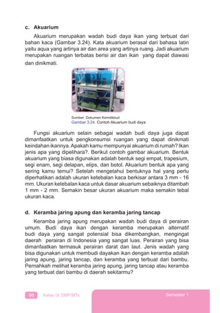 98 Kelas IX SMP/MTs Semester 1
c. Akuarium
Akuarium merupakan wadah budi daya ikan yang terbuat dari
bahan kaca (Gambar 3.24). Kata akuarium berasal dari bahasa latin
yaitu aqua yang artinya air dan area yang artinya ruang. Jadi akuarium
merupakan ruangan terbatas berisi air dan ikan yang dapat diawasi
dan dinikmati.
Fungsi akuarium selain sebagai wadah budi daya juga dapat
dimanfaatkan untuk pengkonsumsi ruangan yang dapat dinikmati
keindahan ikannya.Apakah kamu mempunyai akuarium di rumah? Ikan
jenis apa yang dipelihara?. Berikut contoh gambar akuarium. Bentuk
akuarium yang biasa digunakan adalah bentuk segi empat, trapesium,
segi enam, segi delapan, elips, dan botol. Akuarium bentuk apa yang
sering kamu temui? Setelah mengetahui bentuknya hal yang perlu
diperhatikan adalah ukuran ketebalan kaca berkisar antara 3 mm - 16
mm. Ukuran ketebalan kaca untuk dasar akuarium sebaiknya ditambah
1 mm - 2 mm. Semakin besar ukuran akuarium maka semakin tebal
ukuran kaca.
d. Keramba jaring apung dan keramba jaring tancap
Keramba jaring apung merupakan wadah budi daya di perairan
umum. Budi daya ikan dengan keramba merupakan alternatif
budi daya yang sangat potensial bisa dikembangkan, mengingat
daerah perairan di Indonesia yang sangat luas. Perairan yang bisa
dimanfaatkan termasuk perairan darat dan laut. Jenis wadah yang
bisa digunakan untuk membudi dayakan ikan dengan keramba adalah
jaring apung, jaring tancap, dan keramba yang terbuat dari bambu.
Pernahkah melihat keramba jaring apung, jaring tancap atau keramba
yang terbuat dari bambu di daerah sekitarmu?
Sumber: Dokumen Kemdikbud
Gambar 3.24. Contoh Akuarium budi daya
 