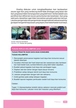 111Prakarya
Grading dilakulan untuk mengklasiﬁkasikan ikan berdasarkan
ukuran agar ikan yang cenderung kerdil tidak dimangsa yang besar dan
ikanyangbesartidakmemangsaikanyanglebihkecil.Sortasiadalahcara
pemilihan ikan dilihat dari ukuran pertumbuhan dan kesehatan. Ikan yang
sakit perlu dipisahkan agar tidak menularkan penyakit pada ikan lainnya.
Lakukanpengamatandanpengontrolandenganbaikdanseksamasehing-
ga dapat mengambil keputusan yang tepat untuk keberhasilan budi daya.
Sumber: Dokumen Kemdikbud
Gambar 3.33. Sortasi dan grading
TUGAS KERJA KELOMPOK LK-6
TUGAS PRAKTIK BUDI DAYA IKAN KONSUMSI
TUGAS KELOMPOK
1. Rancanglah perencaanan kegiatan budi daya ikan konsumsi sesuai
daerah setempat.
2. Gunakan informasi dari hasil observasi dan wawancara atau berdasar-
kan hasil bedah buku sumber/referensi yang telah kalian dapatkan.
3. Buatlah jadwal kegiatan budi daya dan pembagian tugas.
4. Siapkan alat dan bahan dengan tepat sesuai rencana.
5. Praktikkan setiap tahapan teknik budi daya ikan konsumsi.
6. Lakukan pengamatan dengan baik dan seksama.
7. Ambil gambar pada setiap tahapan kegiatan.
8. Buatlah laporan kegiatan pembuatan wadah budi daya ikan konsumsi.
Catatan:
Tugas 1-3 dipresentasikan terlebih dahulu sebelum memulai praktik budi
daya ikan konsumsi. Lakukan revisi dari masukan yang diberikan!
 