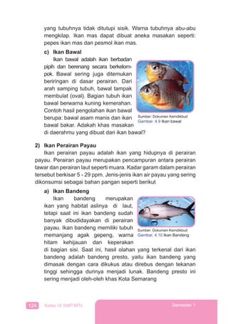 124 Kelas IX SMP/MTs Semester 1
yang tubuhnya tidak ditutupi sisik. Warna tubuhnya abu-abu
mengkilap. Ikan mas dapat dibuat aneka masakan seperti:
pepes ikan mas dan pesmol ikan mas.
c) Ikan Bawal
Ikan bawal adalah ikan berbadan
pipih dan berenang secara berkelom-
pok. Bawal sering juga ditemukan
beriringan di dasar perairan. Dari
arah samping tubuh, bawal tampak
membulat (oval). Bagian tubuh ikan
bawal berwarna kuning kemerahan.
Contoh hasil pengolahan ikan bawal
berupa: bawal asam manis dan ikan
bawal bakar. Adakah khas masakan
di daerahmu yang dibuat dari ikan bawal?
2) Ikan Perairan Payau
Ikan perairan payau adalah ikan yang hidupnya di perairan
payau. Perairan payau merupakan pencampuran antara perairan
tawar dan perairan laut seperti muara. Kadar garam dalam perairan
tersebut berkisar 5 - 29 ppm. Jenis-jenis ikan air payau yang sering
dikonsumsi sebagai bahan pangan seperti berikut
a) Ikan Bandeng
Ikan bandeng merupakan
ikan yang habitat aslinya di laut,
tetapi saat ini ikan bandeng sudah
banyak dibudidayakan di perairan
payau. Ikan bandeng memiliki tubuh
memanjang agak gepeng, warna
hitam kehijauan dan keperakan
di bagian sisi. Saat ini, hasil olahan yang terkenal dari ikan
bandeng adalah bandeng presto, yaitu ikan bandeng yang
dimasak dengan cara dikukus atau direbus dengan tekanan
tinggi sehingga durinya menjadi lunak. Bandeng presto ini
sering menjadi oleh-oleh khas Kota Semarang
Sumber: Dokumen Kemdikbud
Gambar. 4.9 Ikan bawal
Sumber: Dokumen Kemdikbud
Gambar. 4.10 Ikan Bandeng
 