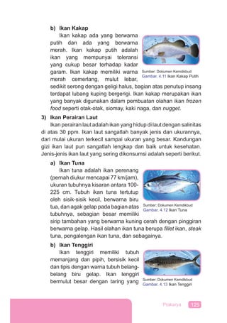 125Prakarya
b) Ikan Kakap
Ikan kakap ada yang berwarna
putih dan ada yang berwarna
merah. Ikan kakap putih adalah
ikan yang mempunyai toleransi
yang cukup besar terhadap kadar
garam. Ikan kakap memiliki warna
merah cemerlang, mulut lebar,
sedikit serong dengan geligi halus, bagian atas penutup insang
terdapat lubang kuping bergerigi. Ikan kakap merupakan ikan
yang banyak digunakan dalam pembuatan olahan ikan frozen
food seperti otak-otak, siomay, kaki naga, dan nugget.
3) Ikan Perairan Laut
Ikan perairan laut adalah ikan yang hidup di laut dengan salinitas
di atas 30 ppm. Ikan laut sangatlah banyak jenis dan ukurannya,
dari mulai ukuran terkecil sampai ukuran yang besar. Kandungan
gizi ikan laut pun sangatlah lengkap dan baik untuk kesehatan.
Jenis-jenis ikan laut yang sering dikonsumsi adalah seperti berikut.
a) Ikan Tuna
Ikan tuna adalah ikan perenang
(pernah diukur mencapai 77 km/jam),
ukuran tubuhnya kisaran antara 100-
225 cm. Tubuh ikan tuna tertutup
oleh sisik-sisik kecil, berwarna biru
tua, dan agak gelap pada bagian atas
tubuhnya, sebagian besar memiliki
sirip tambahan yang berwarna kuning cerah dengan pinggiran
berwarna gelap. Hasil olahan ikan tuna berupa ﬁllet ikan, steak
tuna, pengalengan ikan tuna, dan sebagainya.
b) Ikan Tenggiri
Ikan tenggiri memiliki tubuh
memanjang dan pipih, bersisik kecil
dan tipis dengan warna tubuh belang-
belang biru gelap. Ikan tenggiri
bermulut besar dengan taring yang
Sumber: Dokumen Kemdikbud
Gambar. 4.11 Ikan Kakap Putih
Sumber: Dokumen Kemdikbud
Gambar. 4.12 Ikan Tuna
Sumber: Dokumen Kemdikbud
Gambar. 4.13 Ikan Tenggiri
 