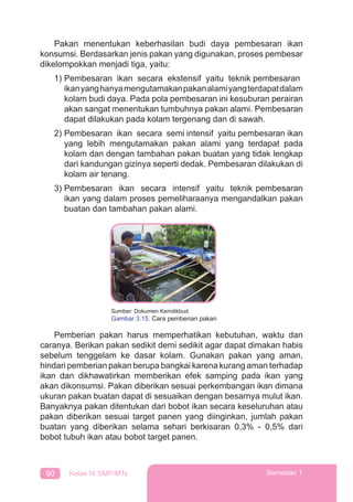 90 Kelas IX SMP/MTs Semester 1
Pakan menentukan keberhasilan budi daya pembesaran ikan
konsumsi. Berdasarkan jenis pakan yang digunakan, proses pembesar
dikelompokkan menjadi tiga, yaitu:
1) Pembesaran ikan secara ekstensif yaitu teknik pembesaran
ikanyanghanyamengutamakanpakanalamiyangterdapatdalam
kolam budi daya. Pada pola pembesaran ini kesuburan perairan
akan sangat menentukan tumbuhnya pakan alami. Pembesaran
dapat dilakukan pada kolam tergenang dan di sawah.
2) Pembesaran ikan secara semi intensif yaitu pembesaran ikan
yang lebih mengutamakan pakan alami yang terdapat pada
kolam dan dengan tambahan pakan buatan yang tidak lengkap
dari kandungan gizinya seperti dedak. Pembesaran dilakukan di
kolam air tenang.
3) Pembesaran ikan secara intensif yaitu teknik pembesaran
ikan yang dalam proses pemeliharaanya mengandalkan pakan
buatan dan tambahan pakan alami.
Pemberian pakan harus memperhatikan kebutuhan, waktu dan
caranya. Berikan pakan sedikit demi sedikit agar dapat dimakan habis
sebelum tenggelam ke dasar kolam. Gunakan pakan yang aman,
hindari pemberian pakan berupa bangkai karena kurang aman terhadap
ikan dan dikhawatirkan memberikan efek samping pada ikan yang
akan dikonsumsi. Pakan diberikan sesuai perkembangan ikan dimana
ukuran pakan buatan dapat di sesuaikan dengan besarnya mulut ikan.
Banyaknya pakan ditentukan dari bobot ikan secara keseluruhan atau
pakan diberikan sesuai target panen yang diinginkan, jumlah pakan
buatan yang diberikan selama sehari berkisaran 0,3% - 0,5% dari
bobot tubuh ikan atau bobot target panen.
Sumber: Dokumen Kemdikbud
Gambar 3.15. Cara pemberian pakan
 