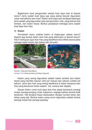 93Prakarya
Bagaimana hasil pengamatan wadah budi daya ikan di daerah
kamu? Jenis wadah budi daya apa yang paling banyak digunakan
untuk memelihara ikan hias? Dalam budi daya ikan terdapat beberapa
jenis wadah yang digunakan yaitu berupa kolam, bak, yang terbuat dari
tembok, dan kolam terpal. Berikut penjelasan berbagai jenis wadah
budi daya ikan hias.
1) Kolam
Pernahkah kamu melihat kolam di lingkungan sekitar kamu?
Seperti apa bentuk kolam ikan hias yang ditemukan di daerah kamu?
Hal ini bertujuan agar ikan hias yang dipelihara bisa dilihat secara jelas
sebagai objek hiasan dan bebas dari penyakit.
Sumber : Dokumen Kemdikbud
Gambar 3.20. Kolam tembok (a) Kolam terpal (b)
Kolam yang sering digunakan adalah kolam tembok dan kolam
terpal yang memiliki saluran inlet (air masuk) dan saluran outlate (air
keluar). Jenis ikan hias yang sering dipelihara di kolam biasanya ikan
hias yang berukuran besar seperti : koi, arwana dan aligator.
Desain kolam untuk budi daya ikan hias dapat berbentuk persegi
empat, persegi panjang, bulat, trapezium, segitiga bahkan bentuk tidak
beraturan. Hal tersebut biasa disesuaikan dengan kondisi lahan dan
lokasi yang ada. Bentuk kolam yang umum digunakan adalah bentuk
persegi empat dan persegi panjang.
 