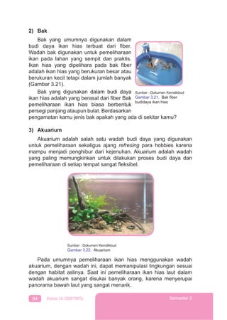 94 Kelas IX SMP/MTs Semester 2
2) Bak
Bak yang umumnya digunakan dalam
budi daya ikan hias terbuat dari ﬁber.
Wadah bak digunakan untuk pemeliharaan
ikan pada lahan yang sempit dan praktis.
Ikan hias yang dipelihara pada bak ﬁber
adalah ikan hias yang berukuran besar atau
berukuran kecil tetapi dalam jumlah banyak
(Gambar 3.21).
Bak yang digunakan dalam budi daya
ikan hias adalah yang berasal dari ﬁber Bak
pemeliharaan ikan hias biasa berbentuk
persegi panjang ataupun bulat. Berdasarkan
pengamatan kamu jenis bak apakah yang ada di sekitar kamu?
3) Akuarium
Akuarium adalah salah satu wadah budi daya yang digunakan
untuk pemeliharaan sekaligus ajang refresing para hobbies karena
mampu menjadi penghibur dari kejenuhan. Akuarium adalah wadah
yang paling memungkinkan untuk dilakukan proses budi daya dan
pemeliharaan di setiap tempat sangat ﬂeksibel.
Pada umumnya pemeliharaan ikan hias menggunakan wadah
akuarium, dengan wadah ini, dapat memanipulasi lingkungan sesuai
dengan habitat aslinya. Saat ini pemeliharaan ikan hias laut dalam
wadah akuarium sangat disukai banyak orang, karena menyerupai
panorama bawah laut yang sangat menarik.
Sumber : Dokumen Kemdikbud
Gambar 3.22. Akuarium
Sumber : Dokumen Kemdikbud
Gambar 3.21. Bak ﬁber
budidaya ikan hias
 