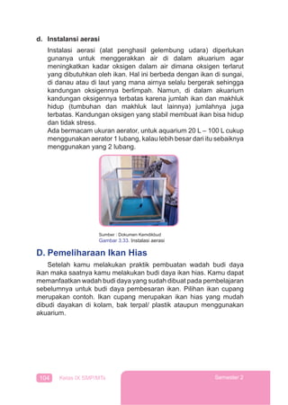104 Kelas IX SMP/MTs Semester 2
d. Instalansi aerasi
Instalasi aerasi (alat penghasil gelembung udara) diperlukan
gunanya untuk menggerakkan air di dalam akuarium agar
meningkatkan kadar oksigen dalam air dimana oksigen terlarut
yang dibutuhkan oleh ikan. Hal ini berbeda dengan ikan di sungai,
di danau atau di laut yang mana airnya selalu bergerak sehingga
kandungan oksigennya berlimpah. Namun, di dalam akuarium
kandungan oksigennya terbatas karena jumlah ikan dan makhluk
hidup (tumbuhan dan makhluk laut lainnya) jumlahnya juga
terbatas. Kandungan oksigen yang stabil membuat ikan bisa hidup
dan tidak stress.
Ada bermacam ukuran aerator, untuk aquarium 20 L – 100 L cukup
menggunakan aerator 1 lubang, kalau lebih besar dari itu sebaiknya
menggunakan yang 2 lubang.
D. Pemeliharaan Ikan Hias
Setelah kamu melakukan praktik pembuatan wadah budi daya
ikan maka saatnya kamu melakukan budi daya ikan hias. Kamu dapat
memanfaatkan wadah budi daya yang sudah dibuat pada pembelajaran
sebelumnya untuk budi daya pembesaran ikan. Pilihan ikan cupang
merupakan contoh. Ikan cupang merupakan ikan hias yang mudah
dibudi dayakan di kolam, bak terpal/ plastik ataupun menggunakan
akuarium.
Sumber : Dokumen Kemdikbud
Gambar 3.33. Instalasi aerasi
 