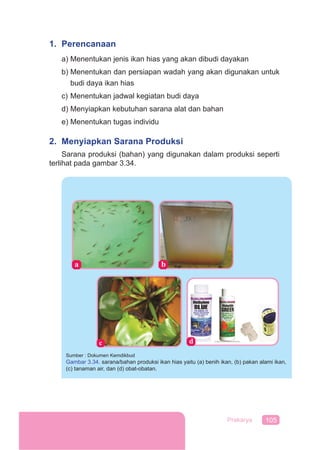 105Prakarya
1. Perencanaan
a) Menentukan jenis ikan hias yang akan dibudi dayakan
b) Menentukan dan persiapan wadah yang akan digunakan untuk
budi daya ikan hias
c) Menentukan jadwal kegiatan budi daya
d) Menyiapkan kebutuhan sarana alat dan bahan
e) Menentukan tugas individu
2. Menyiapkan Sarana Produksi
Sarana produksi (bahan) yang digunakan dalam produksi seperti
terlihat pada gambar 3.34.
Sumber : Dokumen Kemdikbud
Gambar 3.34. sarana/bahan produksi ikan hias yaitu (a) benih ikan, (b) pakan alami ikan,
(c) tanaman air, dan (d) obat-obatan.
 