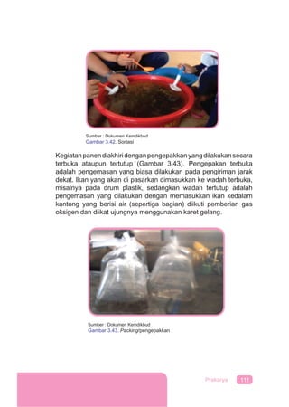 111Prakarya
Kegiatanpanendiakhiridenganpengepakkanyangdilakukansecara
terbuka ataupun tertutup (Gambar 3.43). Pengepakan terbuka
adalah pengemasan yang biasa dilakukan pada pengiriman jarak
dekat. Ikan yang akan di pasarkan dimasukkan ke wadah terbuka,
misalnya pada drum plastik, sedangkan wadah tertutup adalah
pengemasan yang dilakukan dengan memasukkan ikan kedalam
kantong yang berisi air (sepertiga bagian) diikuti pemberian gas
oksigen dan diikat ujungnya menggunakan karet gelang.
Sumber : Dokumen Kemdikbud
Gambar 3.42. Sortasi
Sumber : Dokumen Kemdikbud
Gambar 3.43. Packing/pengepakkan
 