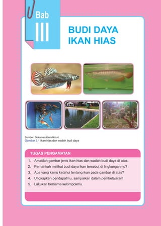 79Prakarya
BUDI DAYA
IKAN HIAS
Sumber: Dokumen Kemdikbud
Gambar 3.1 Ikan hias dan wadah budi daya
TUGAS PENGAMATAN
1. Amatilah gambar jenis ikan hias dan wadah budi daya di atas.
2. Pernahkah melihat budi daya ikan tersebut di lingkunganmu?
3. Apa yang kamu ketahui tentang ikan pada gambar di atas?
4. Ungkapkan pendapatmu, sampaikan dalam pembelajaran!
5. Lakukan bersama kelompokmu.
III
Bab
 