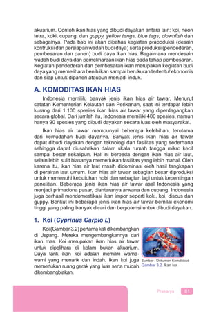 81Prakarya
akuarium. Contoh ikan hias yang dibudi dayakan antara lain: koi, neon
tetra, koki, cupang, dan guppy, yellow tangs, blue tags, clownﬁsh dan
sebagainya. Pada bab ini akan dibahas kegiatan prapoduksi (desain
kontruksi dan persiapan wadah budi daya) serta produksi (pendederan,
pembesaran dan panen) budi daya ikan hias. Bagaimana mendesain
wadah budi daya dan pemeliharaan ikan hias pada tahap pembesaran.
Kegiatan pendederan dan pembesaran ikan merupakan kegiatan budi
daya yang memelihara benih ikan sampai berukuran tertentu/ ekonomis
dan siap untuk dipanen ataupun menjadi induk.
A. KOMODITAS IKAN HIAS
Indonesia memiliki banyak jenis ikan hias air tawar. Menurut
catatan Kementerian Kelautan dan Perikanan, saat ini terdapat lebih
kurang dari 1.100 spesies ikan hias air tawar yang diperdagangkan
secara global. Dari jumlah itu, Indonesia memiliki 400 spesies, namun
hanya 90 spesies yang dibudi dayakan secara luas oleh masyarakat.
Ikan hias air tawar mempunyai beberapa kelebihan, terutama
dari kemudahan budi dayanya. Banyak jenis ikan hias air tawar
dapat dibudi dayakan dengan teknologi dan fasilitas yang sederhana
sehingga dapat diusahakan dalam skala rumah tangga mikro kecil
sampai besar sekalipun. Hal ini berbeda dengan ikan hias air laut,
selain lebih sulit biasanya memerlukan fasilitas yang lebih mahal. Oleh
karena itu, ikan hias air laut masih didominasi oleh hasil tangkapan
di perairan laut umum. Ikan hias air tawar sebagian besar diproduksi
untuk memenuhi kebutuhan hobi dan sebagian lagi untuk kepentingan
penelitian. Beberapa jenis ikan hias air tawar asal Indonesia yang
menjadi primadona pasar, diantaranya arwana dan cupang. Indonesia
juga berhasil mendomestikasi ikan impor seperti koki, koi, discus dan
guppy. Berikut ini beberapa jenis ikan hias air tawar bernilai ekonomi
tinggi yang paling banyak dicari dan berpotensi untuk dibudi dayakan.
1. Koi (Cyprinus Carpio L)
Koi (Gambar 3.2) pertama kali dikembangkan
di Jepang. Mereka mengembangkannya dari
ikan mas. Koi merupakan ikan hias air tawar
untuk dipelihara di kolam bukan akuarium.
Daya tarik ikan koi adalah memiliki warna-
warni yang menarik dan indah. Ikan koi juga
memerlukan ruang gerak yang luas serta mudah
dikembangbiakan.
Sumber : Dokumen Kemdikbud
Gambar 3.2. Ikan koi
 