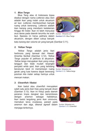 87Prakarya
1. Blue Tangs
Blue Tang atau di Indonesia biasa
disebut dengan nama Lettersix atau Dori
adalah ikan yang indah untuk akuarium
air laut. Lettersix membutuhkan banyak
ruang untuk berenang. Lettersix adalah
ikan karang yang mendiami kedalaman
hingga 40 meter. Ikan ini lebih menyukai
arus deras pada daerah terumbu ke arah
laut. Spesies ini harus pelihara dalam
akuarium, dengan diberi cukup banyak
batu karang dan volume air yang banyak (Gambar 3.11).
2. Yellow Tangs
Yellow Tangs adalah jenis ikan
herbivora yang berasal dari Hawaii,
Amerika Serikat (Gambar 3.12). Yellow
Tangs populer di pelihara di akuarium.
Yellow tangs merupakan ikan yang cukup
tangguh dan tidak mudah terjangkit
penyakit white spot. Ikan yang terbilang
berukuran kecil ini memerlukan ruang
gerak yang luas karena dapat berenang
puluhan kilo meter setiap harinya untuk
mencari makan.
3. Clownﬁsh / Badut
Ikan badut atau clownﬁsh merupakan
salah satu jenis ikan hias yang banyak dicari
(Gambar 3.13). Ikan ini hidup pada daerah
perairan tropis dangkal dan bersimbiosis
dengan anemon sebagai habitatnya.
Ikan badut tergolong jenis ikan omnivore,
memakan larva crustacea, parasit pada
anemon dan alga, dikenal agresif dalam
menjaga teritorinya.
Sumber: Wikipedia.com
Gambar 3.12. Yellow tangs
Sumber : Wikipedia.com
Gambar 3.11. Blue Tangs
Sumber: Wikipedia.com
Gambar 3.13. Clownﬁsh
 