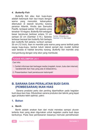 88 Kelas IX SMP/MTs Semester 2
4. Butterﬂy Fish
Butterﬂy ﬁsh atau ikan kupu-kupu
adalah kelompok ikan laut tropis dengan
warna yang mencolok, kebanyakan
ditemukan di daerah terumbu karang
perairan Atlantik, Hindia dan Samudra
Pasiﬁk, terdapat sekitar 120 spesies yang
tersebar 10 negara. Butterﬂy ﬁsh sebagian
besar berukuran berkisar antara 12 cm
sampai 22 cm (Gambar 3.14.). Spesies
terbesar berasal dari butterﬂy ﬁsh berlapis
dan butterﬂy ﬁsh pelana, tumbuh sampai
30 cm (12 inch). Ikan ini memiliki pola warna yang sama terlihat pada
sayap kupu-kupu, bentuk tubuh lateral sempit dan mudah terlihat
saat berada di habitat terumbu karang. Butterﬂy ﬁsh memiliki sirip
menyambung dengan sirip ekor yang membulat.
TUGAS KELOMPOK LK-1
Cari Info:
1. Carilah informasi dari berbagai media (majalah, koran, buku dan internet)
karakteristik ikan hias yang ada di didaerahmu.
2. Presentasikan hasil penelusuran kelompok!
B. SARANA DAN PERALATAN BUDI DAYA
(PEMBESARAN) IKAN HIAS
Sarana produksi perlu dan penting diperhatikan pada kegiatan
budi daya ikan hias. Dibutuhkan sarana produksi dan teknik yang tepat
agar produksi lebih optimal, yakni:
1. Bahan
a. Benih
Benih adalah anakan ikan dari mulai menetas sampai ukuran
tertentu ikan yang akan digunakan untuk kegiatan usaha budi daya
berikutnya. Pada fase pembesaran biasanya memulai pemeliharaan
Sumber: Wikipedia.com
Gambar 3.14. Ikan kepe
 