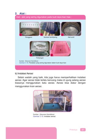 91Prakarya
2. Alat :
Alat - alat yang sering digunakan pada budi daya ikan hias :
Penggaris Serokan lamit/jaring Alat sortir
Timbangan
Sumber : Dokumen Kemdikbud
Gambar 3.18. Peralatan yang sering digunakan dalam budi daya ikan
Penggaris Serokan lamit/jaring Alat sortir
b) Instalasi Aerasi
Selain wadah yang baik, kita juga harus memperhatikan instalasi
aerasi. Agar aerasi tidak terlalu kencang maka di ujung selang aerasi
biasanya menggunakan batu aerasi. Aerasi bisa diatur dengan
menggunakan kran aerasi.
Sumber : Dokumen Kemdikbud
Gambar 3.19. Instalasi aerasi
 