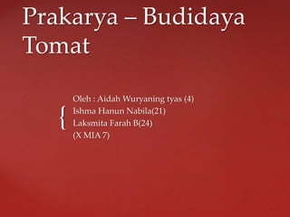 {
Prakarya – Budidaya
Tomat
Oleh : Aidah Wuryaning tyas (4)
Ishma Hanun Nabila(21)
Laksmita Farah B(24)
(X MIA 7)
 