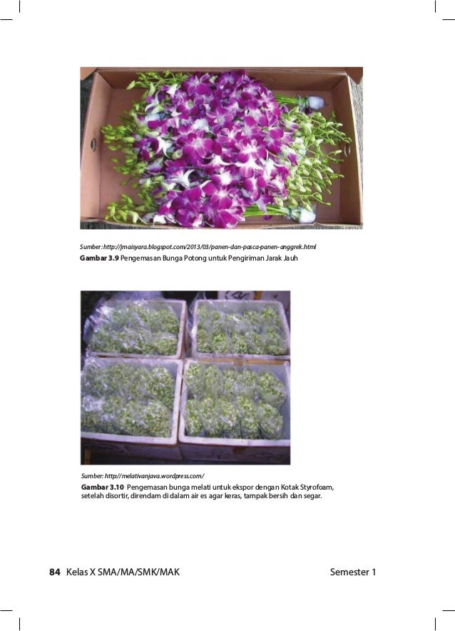 Prakarya dan Kewirausahaan Edisi Revisi 2017 Semester 2 