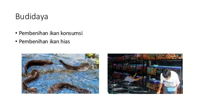 Prakarya dan kewirausahaan kelas xi Prakarya dan kewirausahaan kelas xi