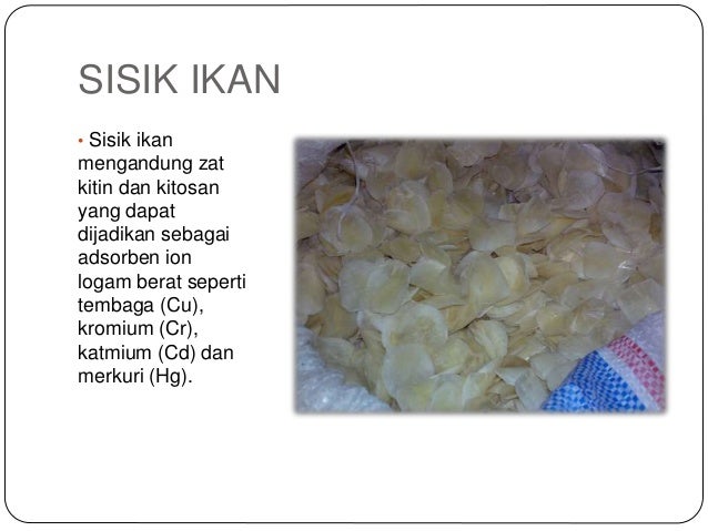 Kulit Jagung Koran Sabut Kelapa Sisik Ikan