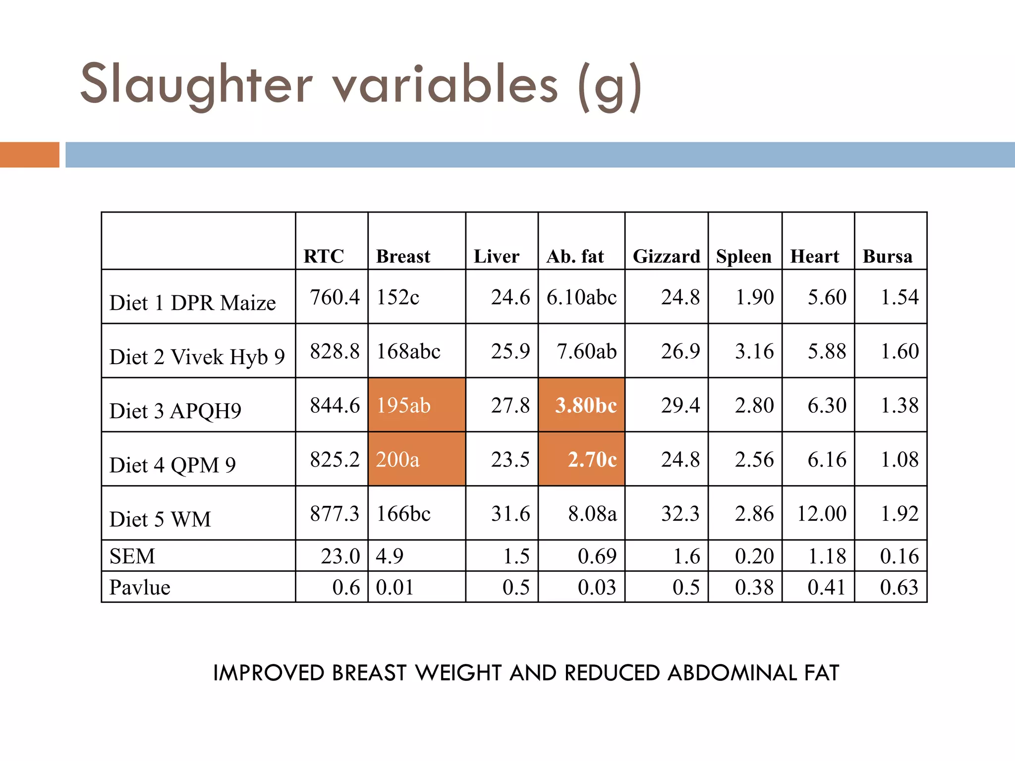 Slaughter variables (g)
RTC Breast Liver Ab. fat Gizzard Spleen Heart Bursa
Diet 1 DPR Maize 760.4 152c 24.6 6.10abc 24.8 1.90 5.60 1.54
Diet 2 Vivek Hyb 9 828.8 168abc 25.9 7.60ab 26.9 3.16 5.88 1.60
Diet 3 APQH9 844.6 195ab 27.8 3.80bc 29.4 2.80 6.30 1.38
Diet 4 QPM 9 825.2 200a 23.5 2.70c 24.8 2.56 6.16 1.08
Diet 5 WM 877.3 166bc 31.6 8.08a 32.3 2.86 12.00 1.92
SEM 23.0 4.9 1.5 0.69 1.6 0.20 1.18 0.16
Pavlue 0.6 0.01 0.5 0.03 0.5 0.38 0.41 0.63
IMPROVED BREAST WEIGHT AND REDUCED ABDOMINAL FAT
 