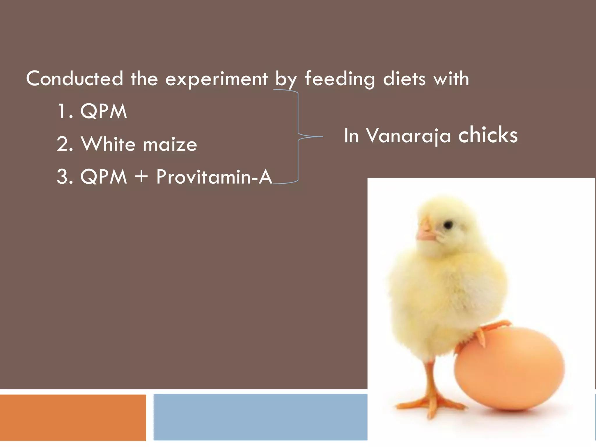 Conducted the experiment by feeding diets with
1. QPM
2. White maize
3. QPM + Provitamin-A
In Vanaraja chicks
 