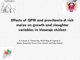 Effects of QPM and provitamin-A rich
maize on growth and slaughter
variables in Vanaraja chicken
B. Prakash, S V Rama Rao, MVLN Raju, M Vignesh, K
Rajesh, Bhupender Kumar, Firoz Hossain and Sujay Rakshit
 