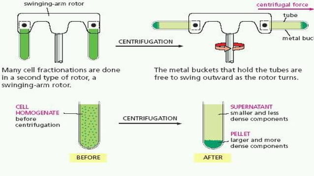 centrifuge principle and application | PPT