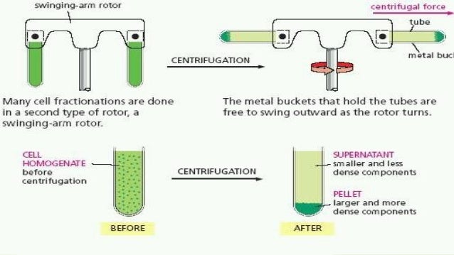 Centrifuge Principle And Application