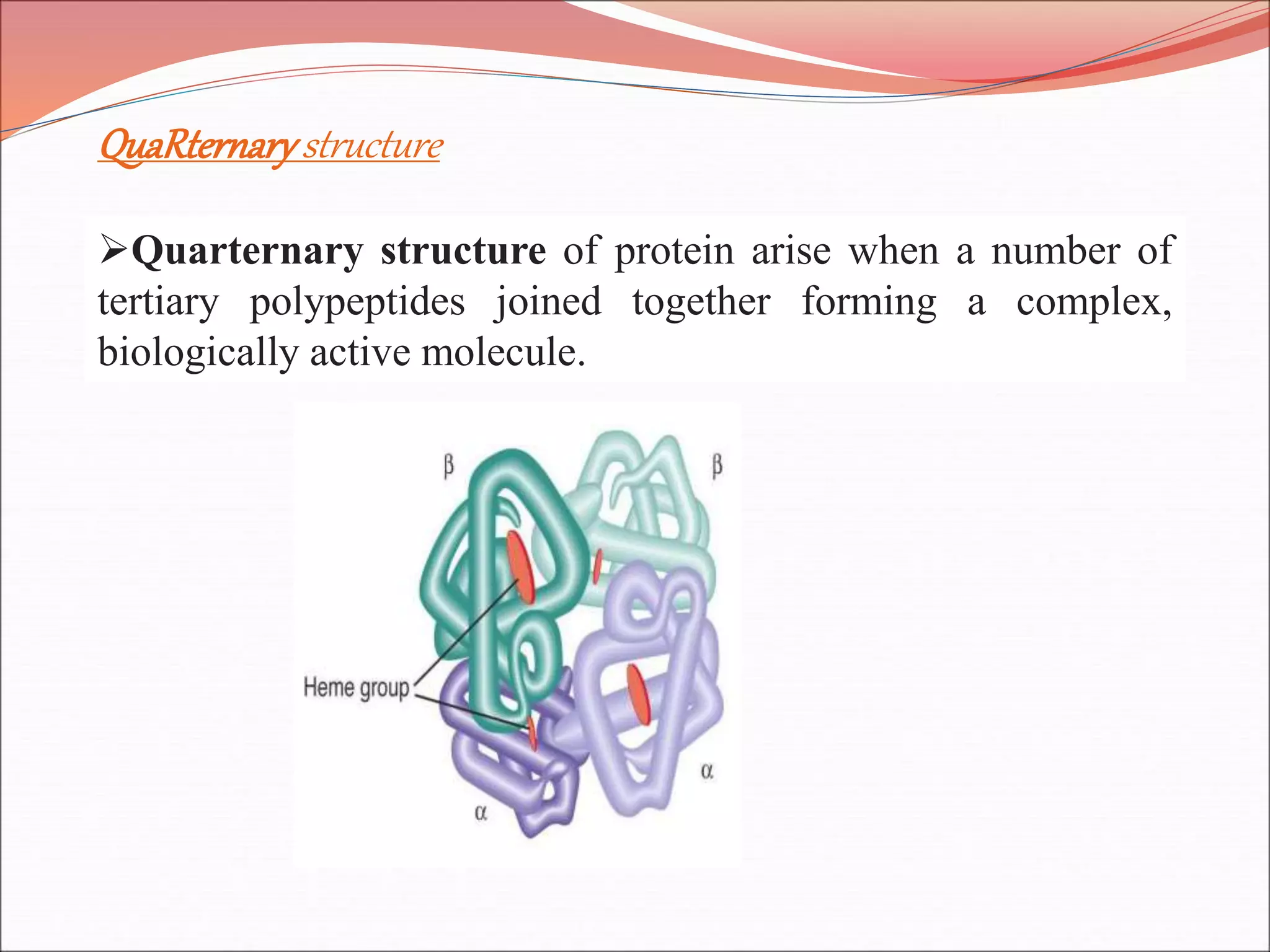 QuaRternarystructure
Quarternary structure of protein arise when a number of
tertiary polypeptides joined together forming a complex,
biologically active molecule.
 