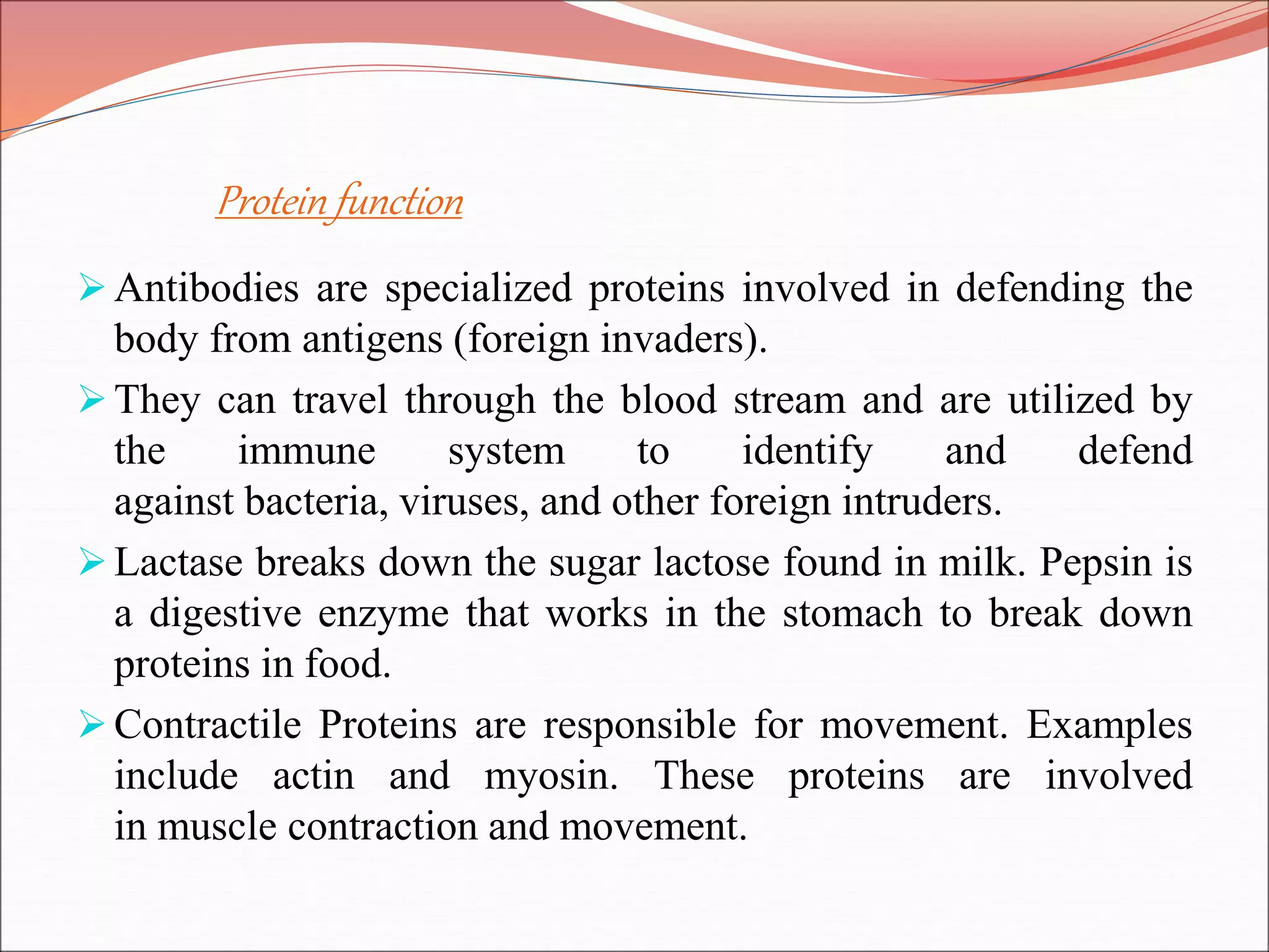 Protein function
Antibodies are specialized proteins involved in defending the
body from antigens (foreign invaders).
They can travel through the blood stream and are utilized by
the immune system to identify and defend
against bacteria, viruses, and other foreign intruders.
Lactase breaks down the sugar lactose found in milk. Pepsin is
a digestive enzyme that works in the stomach to break down
proteins in food.
Contractile Proteins are responsible for movement. Examples
include actin and myosin. These proteins are involved
in muscle contraction and movement.
 