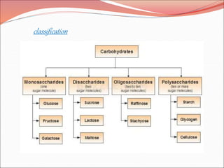 macromolecules by kk sahu sir | PPT