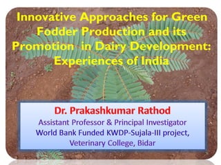 Innovative Approaches for Green
Fodder Production and its
Promotion in Dairy Development:
Experiences of India
 
 