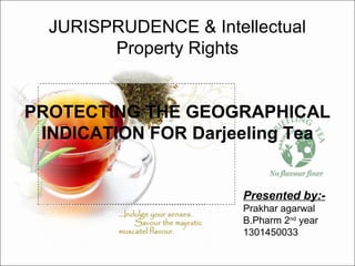 JURISPRUDENCE & Intellectual
Property Rights
PROTECTING THE GEOGRAPHICAL
INDICATION FOR Darjeeling Tea
Presented by:-
Prakhar agarwal
B.Pharm 2nd
year
1301450033
 