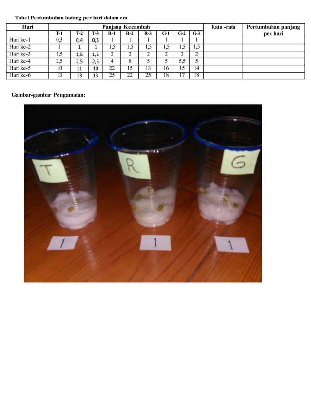 Prak ipa kecambah kacang hijau | DOCX