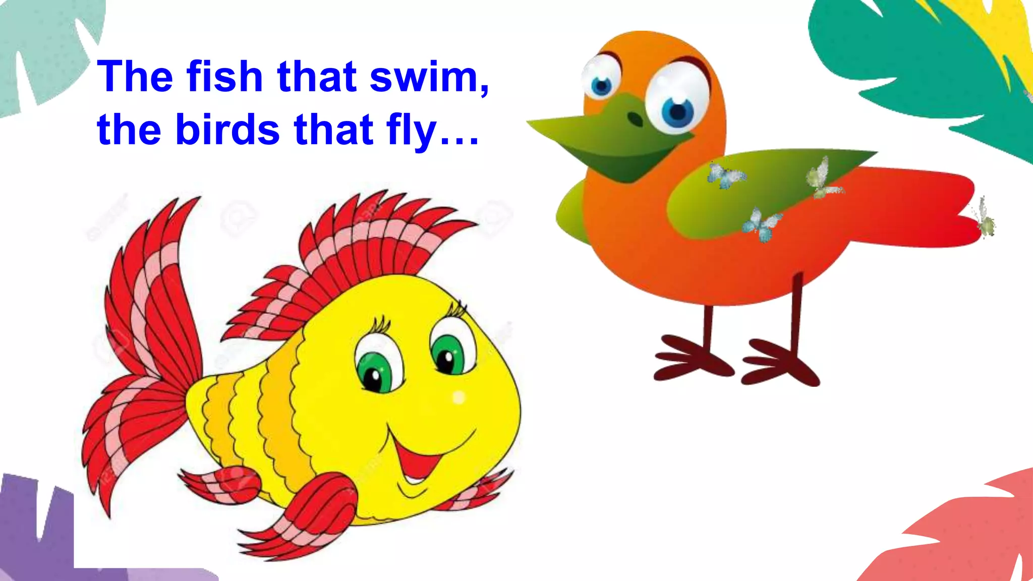 The fish that swim,
the birds that fly…
 