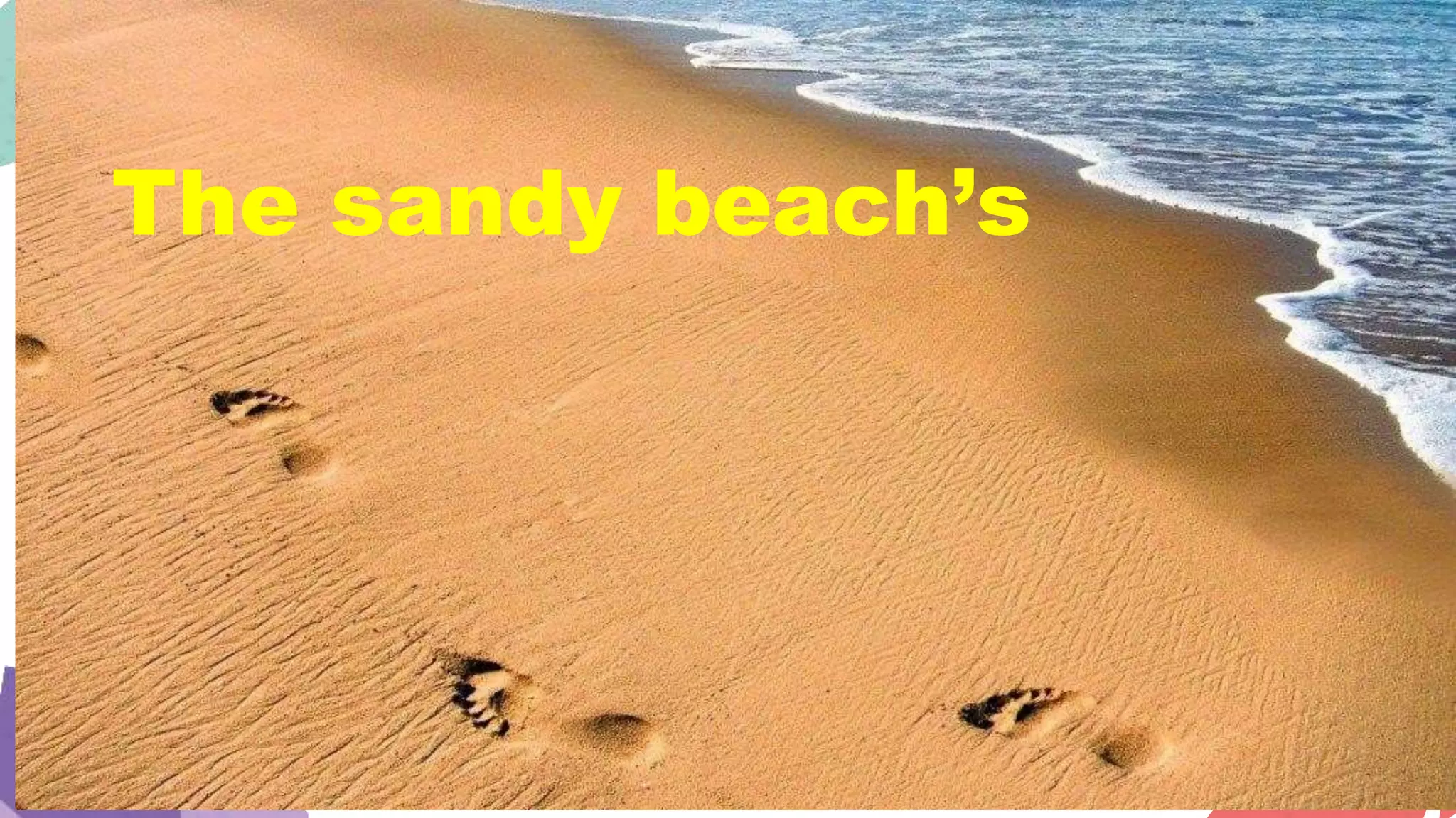 The sandy beach’s
 