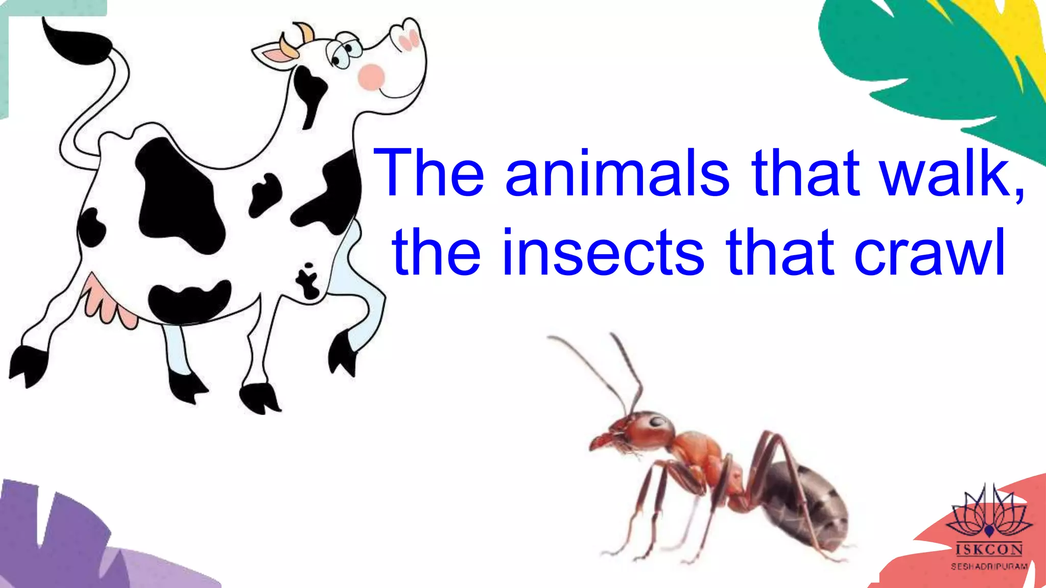The animals that walk,
the insects that crawl
 