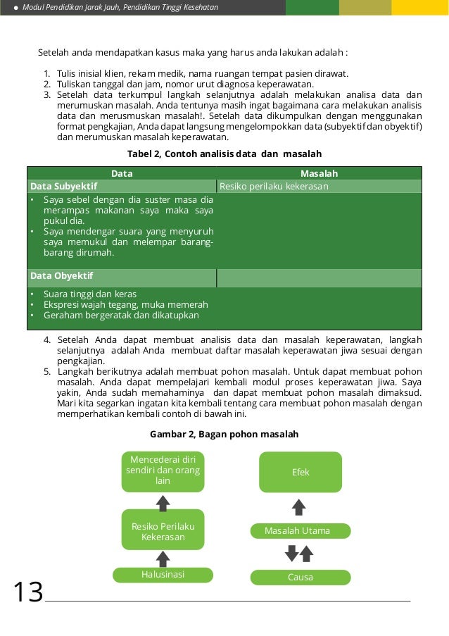 Praktika halusinasi, prilaku kekerasan & perawatan diri
