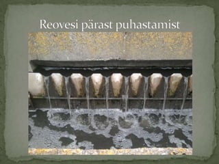 Praktika 2012