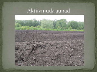 Praktika 2012