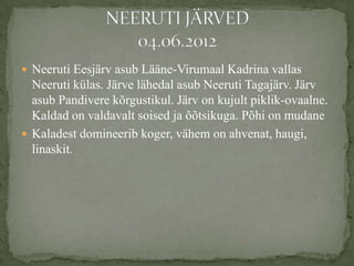? Neeruti Eesj?rv asub L??ne-Virumaal Kadrina vallas
  Neeruti klas. J?rve l?hedal asub Neeruti Tagaj?rv. J?rv
  asub Pandivere k?rgustikul. J?rv on kujult piklik-ovaalne.
  Kaldad on valdavalt soised ja ??tsikuga. P?hi on mudane
? Kaladest domineerib koger, v?hem on ahvenat, haugi,
  linaskit.
 