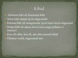 ? Esimene kiht oli huumuse kiht
? Teine kiht ulatus 15cm sgavusele
? Kolmas kiht oli maapinnast 15cm kuni 60cm sgavusel
? Neljas kiht oli alates 60cm kuni augu p?hjani (1
  meeter)
? Kive oli v?he, kui oli, siis olid suured tkid
? ?htlane muld, sgavamal savi
 