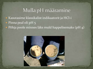 ? Kasutasime klassikalist indikaatorit ja HCl-i
? Pinna peal oli pH 5
? P?hja poole minnes l?ks muld happelisemaks (pH 4)
 