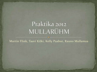 Martin Flink, Taavi Kilki, Kelly Paabut, Rauno Mullamaa
 