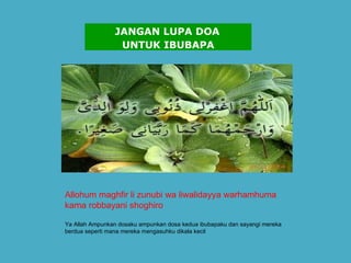 Allohum maghfir li zunubi wa liwalidayya warhamhuma kama robbayani shoghiro Ya Allah Ampunkan dosaku ampunkan dosa kedua ibubapaku dan sayangi mereka berdua seperti mana mereka mengasuhku dikala kecil   JANGAN LUPA DOA  UNTUK IBUBAPA 