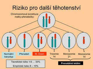 Riziko pro dal? thotenstv Teoretick riziko 1/3  33% Empirick riziko 8 C 10% Chromozomov konstituce matky-p?ena?e?ky: Normln karyotyp P?ena?e? M. Down Trizomie 14 Monozomie 21 Monozomie 14 Prenatln letln 