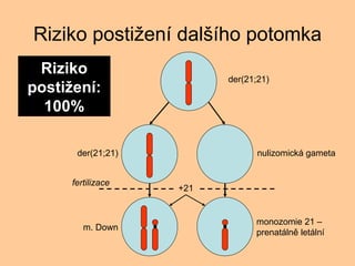Riziko posti?en dal?ho potomka der(21;21) Riziko posti?en: 100% +21 fertilizace der(21;21) nulizomick gameta m. Down monozomie 21 C prenatln letln 