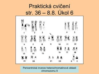 Praktick cvi?en str. 36 C 8.8. ?kol 6 Pericentrick inverze heterochromatinov oblasti chromozomu 9 