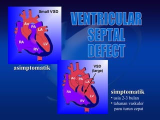asimptomatikasimptomatik
simptomatiksimptomatik
• usia 2-3 bulan
• tahanan vaskuler
paru turun cepat
 