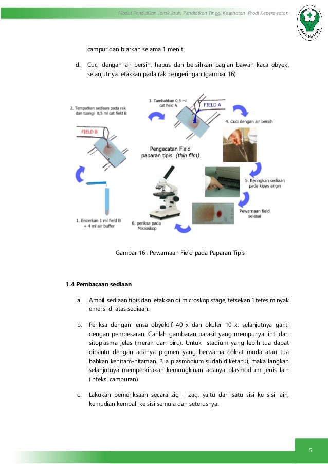 Pemeriksaan darah ( protozoa : parasit malar   ia)