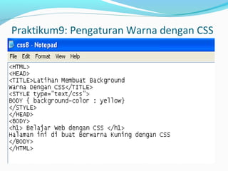 Praktikum9: Pengaturan Warna dengan CSS 
 